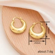 Fashionable and stylish earrings for women with French temperament. High-end popular online celebrity style.