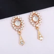 Autumn and winter new French niche earrings temperament gentle wind tassel zircon earrings niche high-end earrings