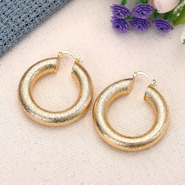 European and American style fashionable hoop earrings for women, grainy thick hoop niche design jewelry Middle East hot style