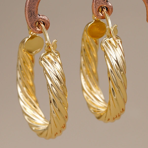Middle Eastern factory direct sales earrings for women, U-shaped spiral niche accessories, Maillard super hot style