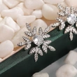    New Sweet Snowflake Shape Women's Earrings Exquisite Zircon Holiday Gift Earrings Wholesale