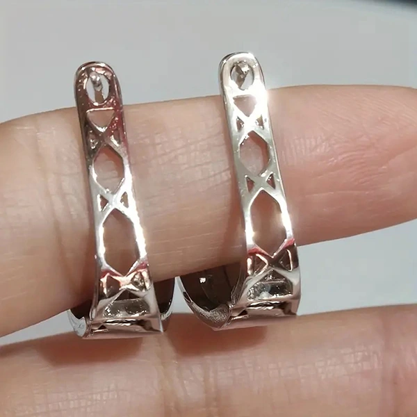 Cold style metal design earrings for women, niche personality, micro-inlaid zircon jewelry, fashionable internet celebrity earrings