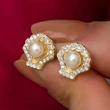   Hot selling earrings for women, shell water shell imitation pearl earrings, elegant and exquisite daily jewelry for ladies