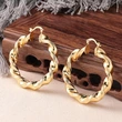 Spiral metal electroplated gold earrings for women, niche design, high-end style earrings, Asian sweet and cool accessories