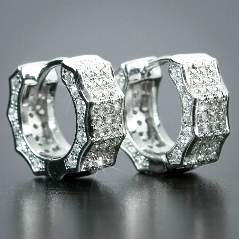  Unisex earrings hip-hop style slightly inlaid with diamonds and zircon earrings popular in Europe and America street fashion earrings