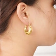 Fashionable and stylish earrings for women with French temperament. High-end popular online celebrity style.