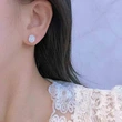 Micro-inlaid zircon light luxury style earrings female temperament lady geometric oval earrings popular earrings