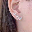 Butterfly flower exquisite earrings for women, fashionable and popular earrings, micro-inlaid zircon, shiny everyday earrings