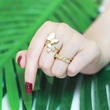 Clearance tide niche design butterfly ring high-end cool style geometric index finger simple ring female riq02