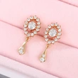 Autumn and winter new French niche earrings temperament gentle wind tassel zircon earrings niche high-end earrings