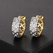 Hot selling electroplated two-color earrings for women, geometric light luxury diamond jewelry, French style elegant hot-selling earrings