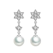 Baroque new imitation pearl earrings snowflake earrings elegant women's copper-plated platinum tassel earrings