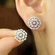  Flower hollow micro-inlaid earrings pastoral lady style net celebrity earrings female fashion temperament new style earrings