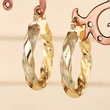 Pinxixi's hot-selling earrings for women, double-sided electroplated design, trendy and cool girl accessories