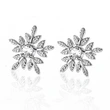    New Sweet Snowflake Shape Women's Earrings Exquisite Zircon Holiday Gift Earrings Wholesale