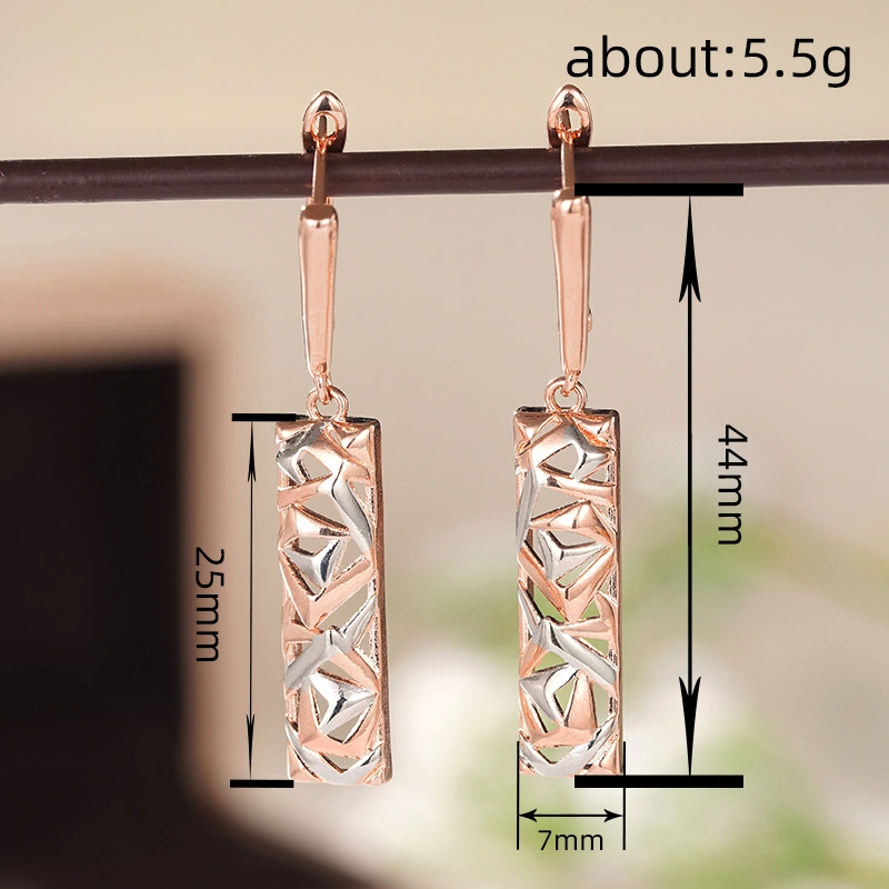  Xiaohongshu niche design jewelry women's technology sense personality Internet celebrity style earrings geometric triangle earrings