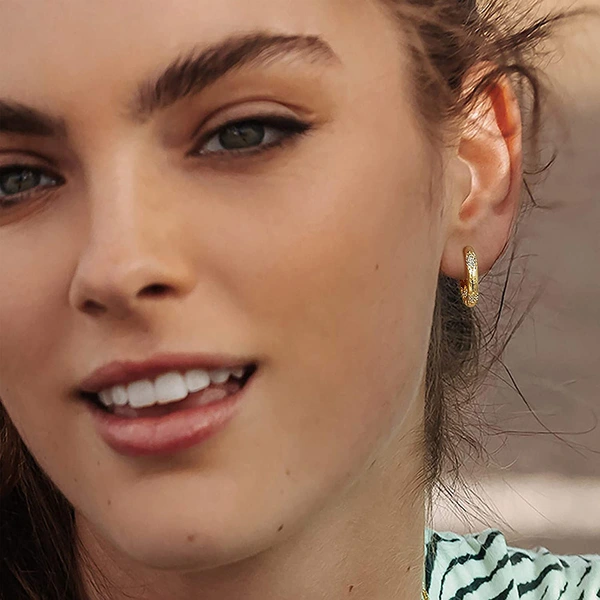 Commuter earrings French earrings for women high-end style temperament hot-selling jewelry micro-inlaid wheat ear earrings