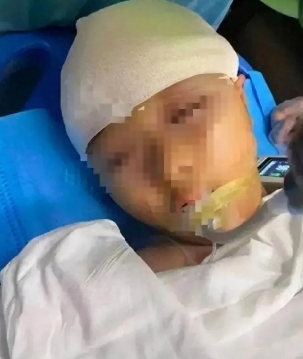 屏幕截图 2025-12-25 114713.png