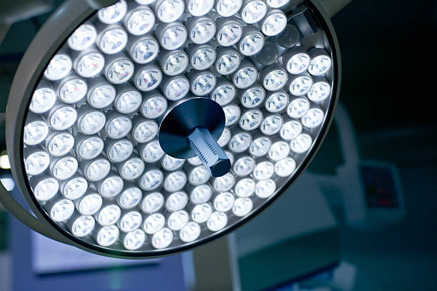 Vet Surgical Light