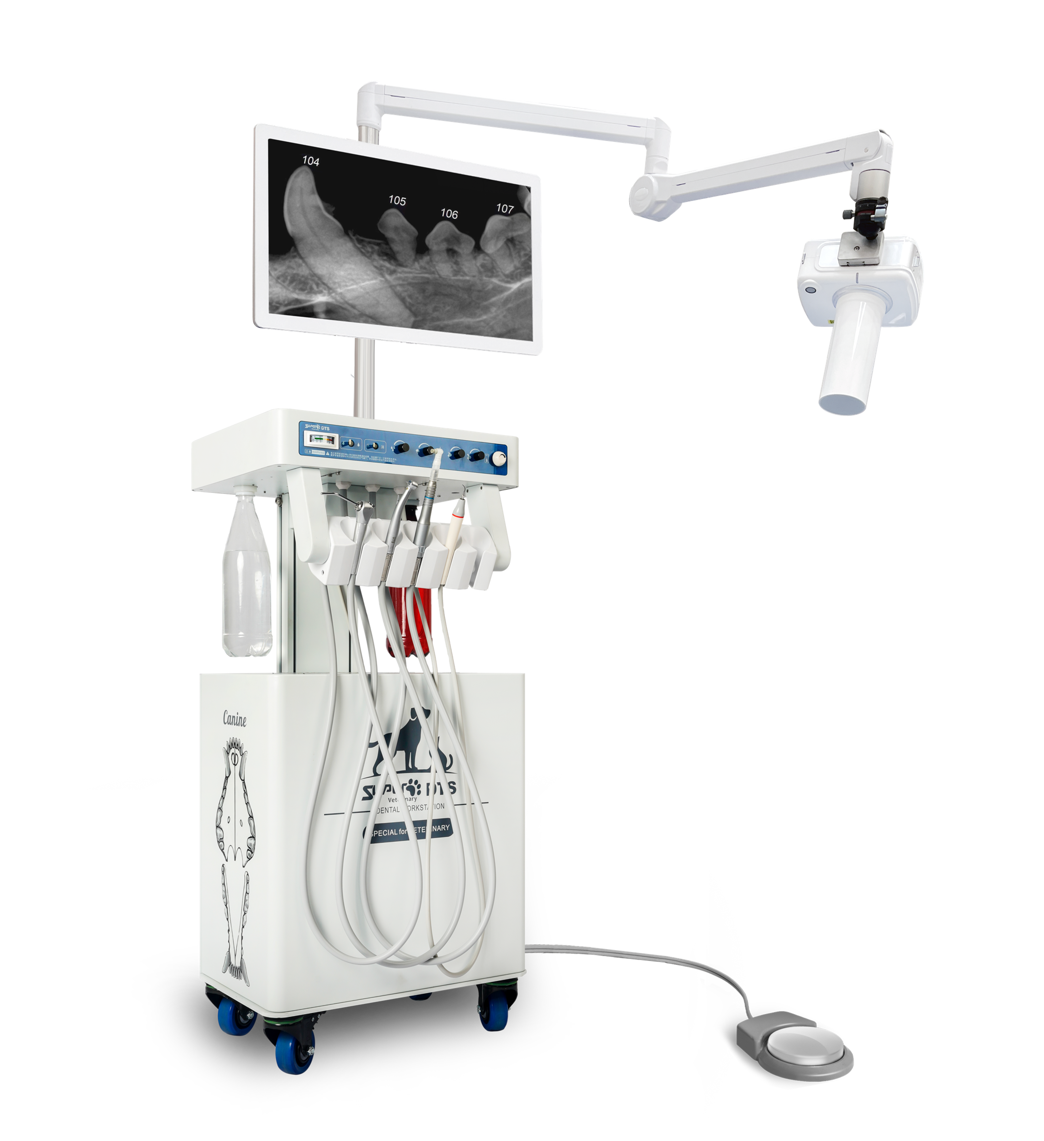 Vet Dental System