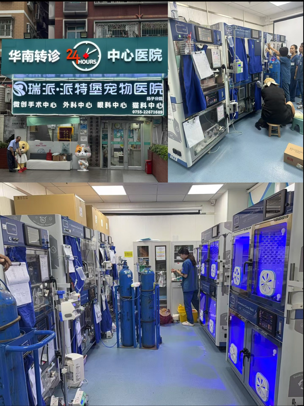 Animal Intensive Care Unit