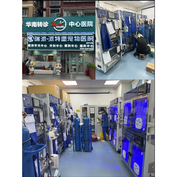 Animal Intensive Care Unit