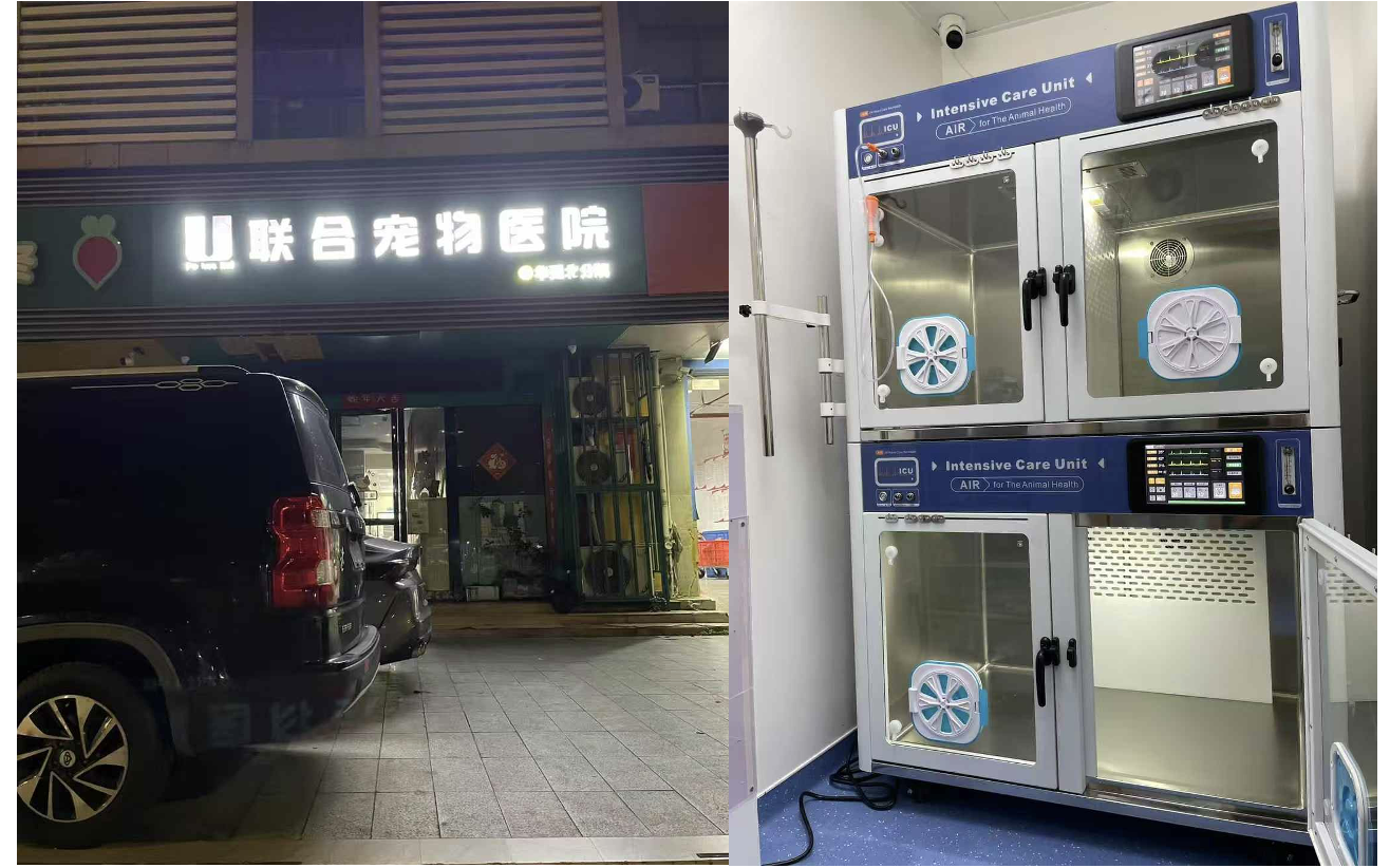 Animal Intensive Care Unit