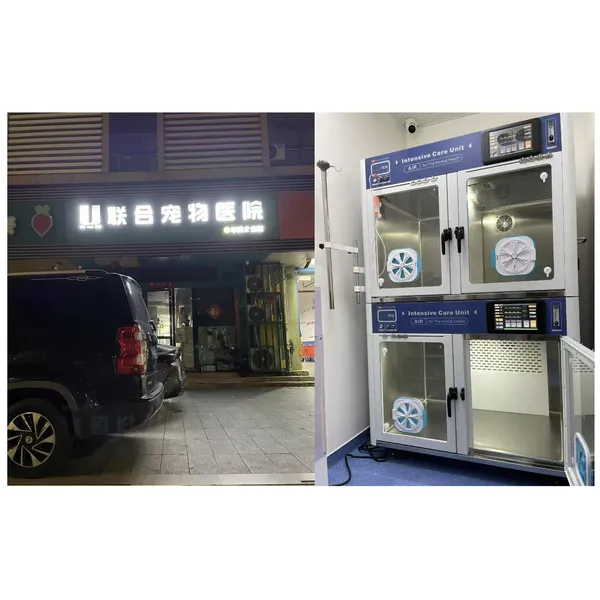 Animal Intensive Care Unit