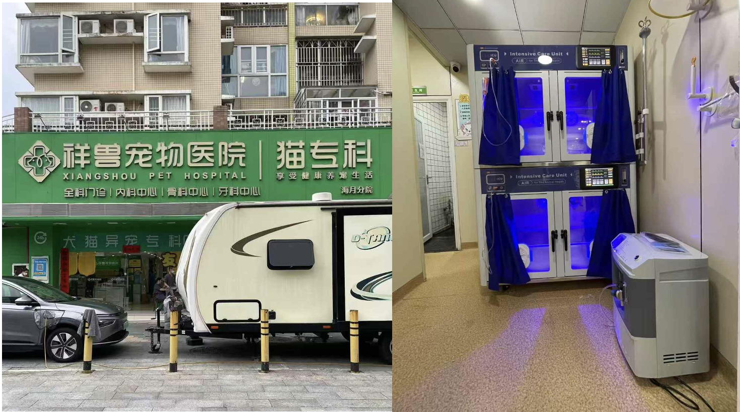 Animal Intensive Care Unit