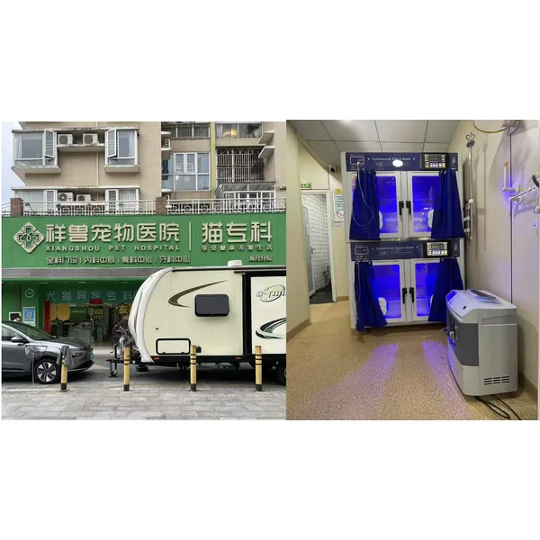 Animal Intensive Care Unit