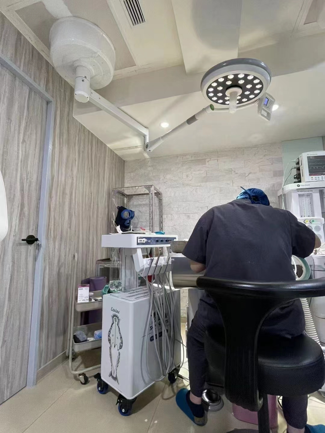 Veterinary Dental Unit