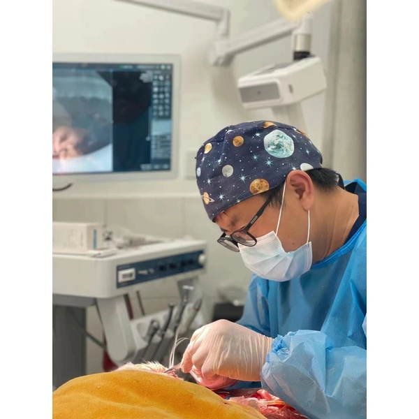 Veterinary Dental Unit