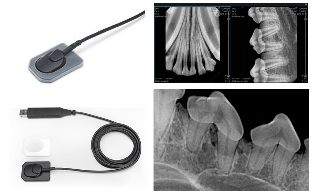 Vet Dental X-ray Sensor 