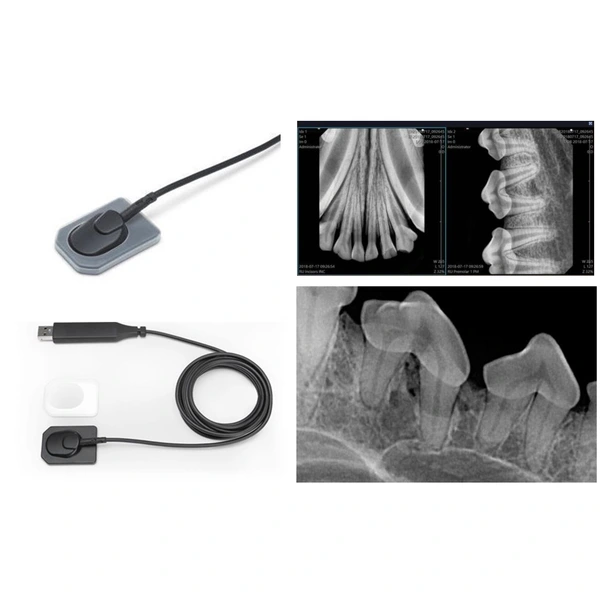 Vet Dental X-ray Sensor 
