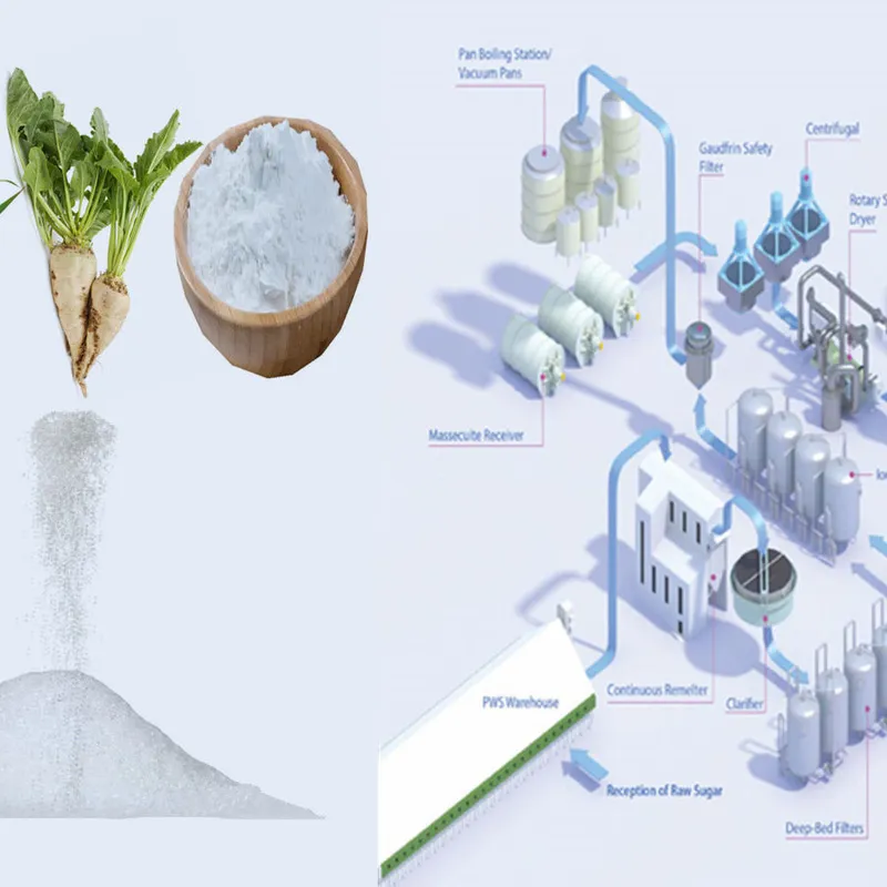 مصنع إنتاج السكر من بنجر السكر