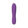  Mini bullet vibrator; sex toys