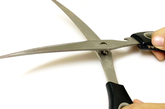 dismentled scissors.png