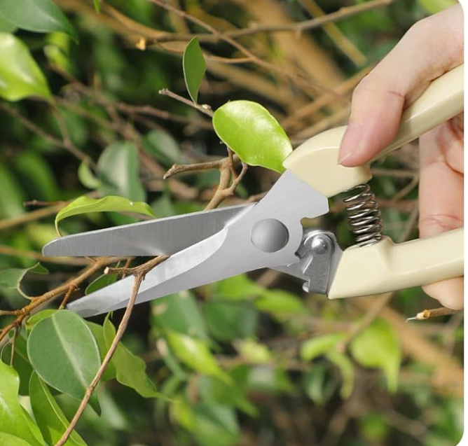 garden shears.png