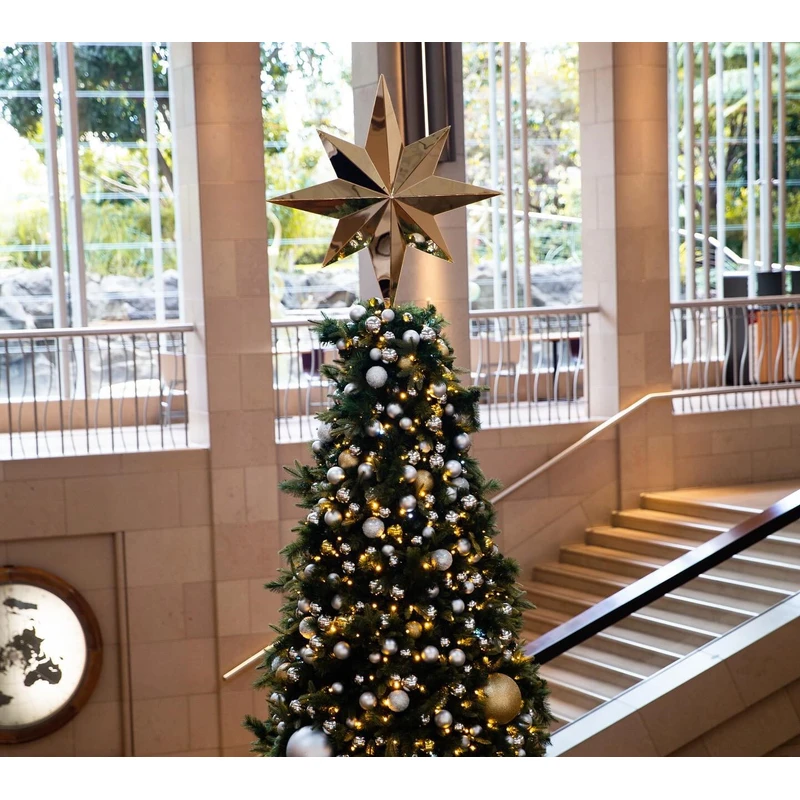 Stainless steel Christmas tree top star