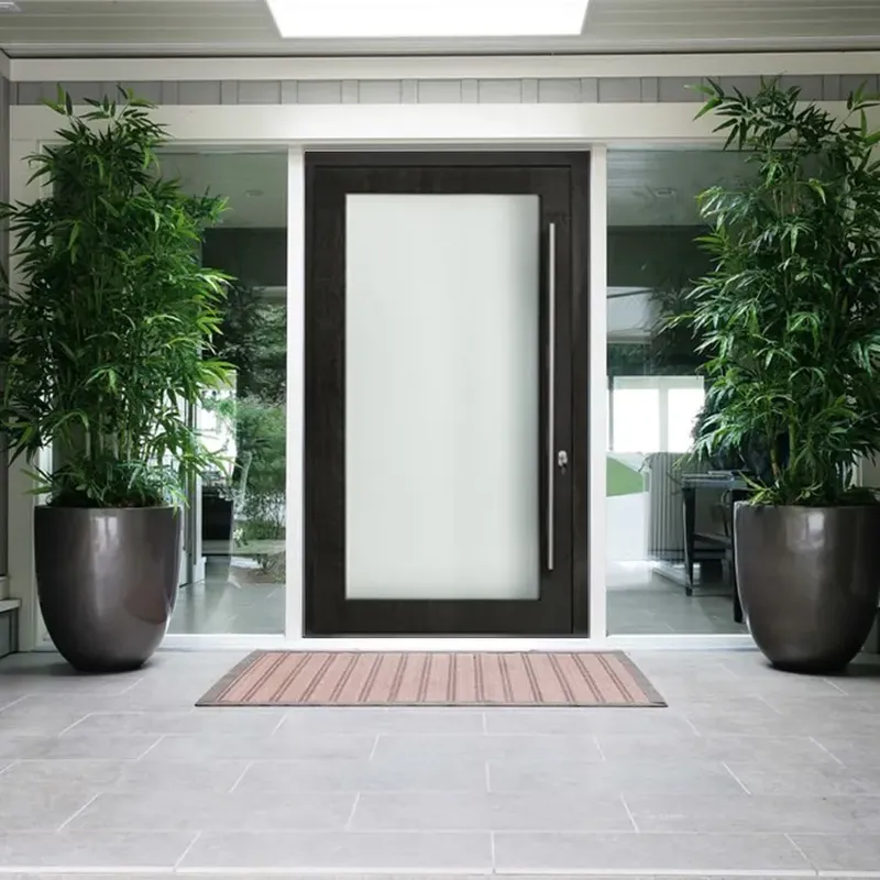 باب زجاجي ذو طبقة محورية من الخشب الصلب مع أجهزة ألمانية