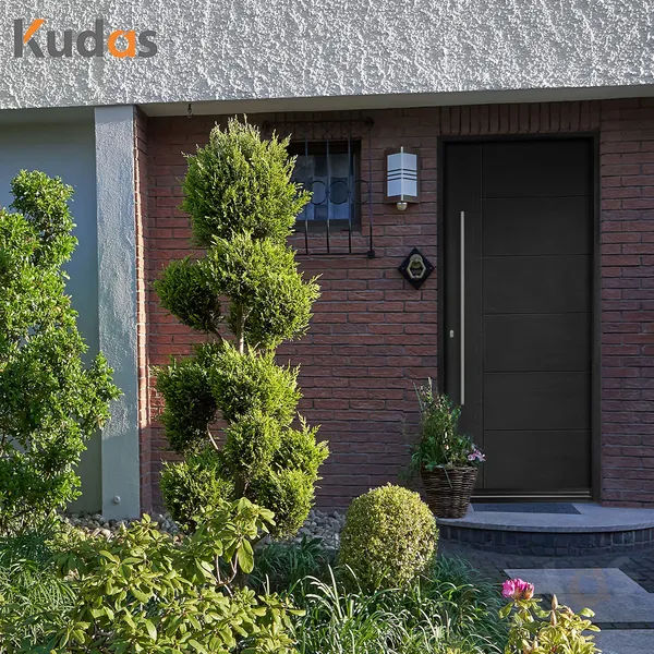 باب دخول محوري للمدخل الأمامي من الفولاذ المقاوم للصدأ من الخشب الخارجي