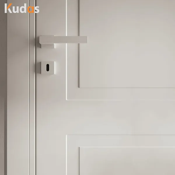 باب داخلي قياسي من خشب الكرز من الزجاج لغرفة النوم