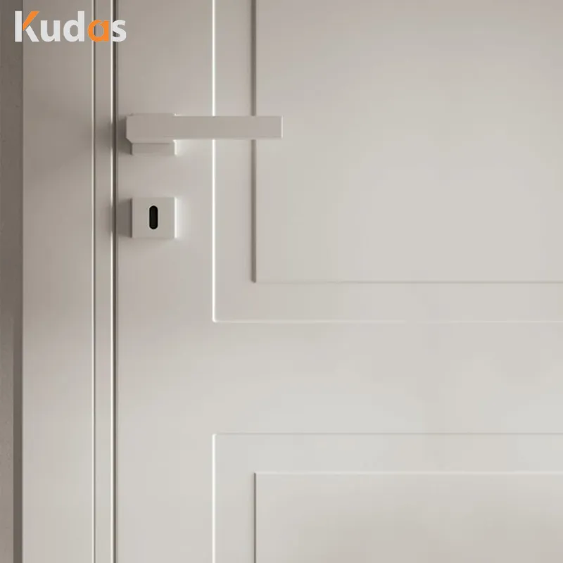 باب داخلي قياسي من خشب الكرز من الزجاج لغرفة النوم