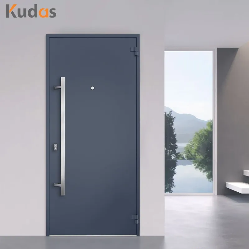 Main Exterior Entrance Entry Front Stainless Steel Pivot Metal Door