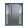 Single Double Gate Entrance Security Front Metal Steel Pivot Door