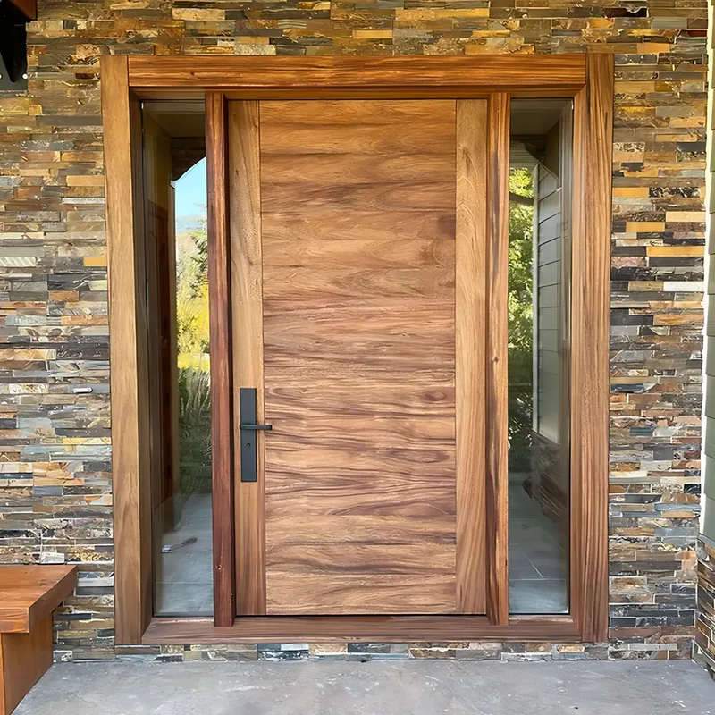 مدخل المدخل الأمامي المعدني الصلب الحديث تصميم البوابة الرئيسية الباب المحوري