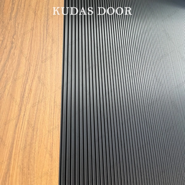 Aluminum Modern Exterior Entrance Stainless Steel Front Entry Doors
