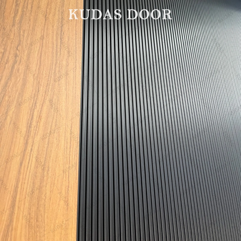 Aluminum Modern Exterior Entrance Stainless Steel Front Entry Doors