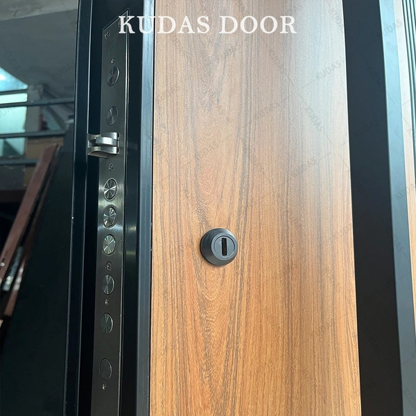 Aluminum Modern Exterior Entrance Stainless Steel Front Entry Doors