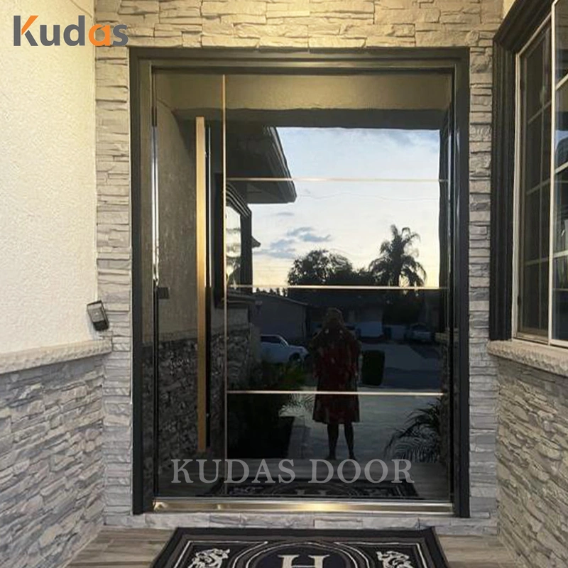 Mirror Design Enamel Painting Steel Security Door Exterior for Home